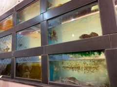 水产区-丰收渔港饭店(嵊泗店)