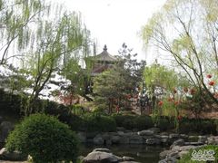 -西安青龙寺遗址景区