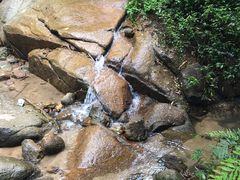 -火炉山森林公园