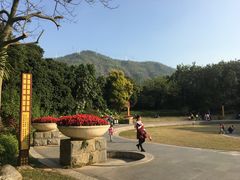 -月亮湾公园