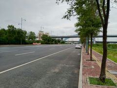 -呼兰河口湿地公园