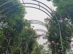 -尚贤河湿地