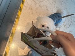 -上海崇明金茂凯悦酒店