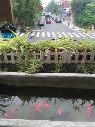 -艾米丽儿童摄影