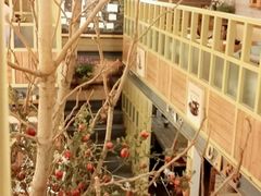 -Cafe Alice咖啡爱丽丝(奥城店)