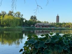 -西海子公园