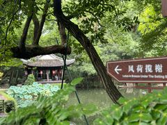 -绮园景区