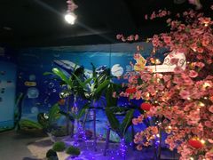 -常州海昌海洋探索馆