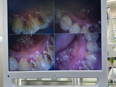 -牙博士口腔品牌连锁(杨浦店)