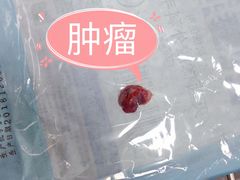 -爱侣宠医·鹦鹉专科·小型哺乳类·异宠专科(灵石路店)