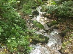 -天女山森林公园