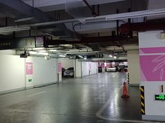 -复旦软件园·智慧新天地-停车场