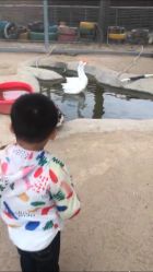 -上美四季动物农场