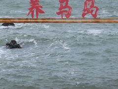 -养马岛旅游度假区