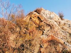 -紫金山索道-售票处