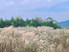 -良渚古城遗址公园
