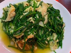 -范记靖远羊羔肉(博物馆店)