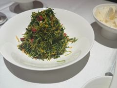 巧拌豆苗-四季民福烤鸭店(王府井东安门店)