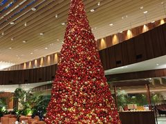 -北京望京凯悦酒店The Lounge大堂酒廊