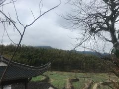 -塔川景区