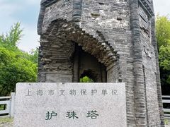 -上海佘山国家森林公园天马山园