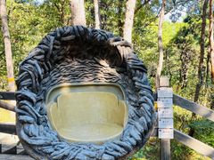 -北京西山国家森林公园