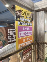 -卡通尼·Safari非洲探索乐园·生日会(金桥国际商业广场店)