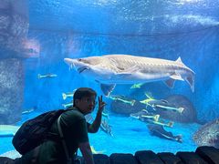 -多彩贵州城极地海洋世界