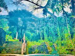 -海南热带雨林国家公园吊罗山景区