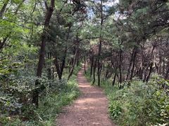 -高尔山公园