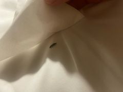 -和平宾馆(王府井店)