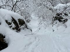 -九峰山