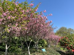 -上海市保健医疗中心