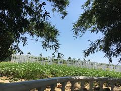 -广州花之恋城堡酒店