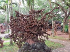 -海口火山口国家地质公园