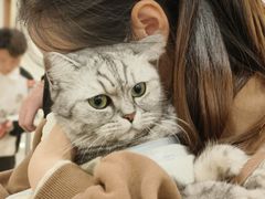 -共舞时光猫咖·狗咖(新街口店)