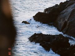 -广东惠东海龟国家级自然保护区