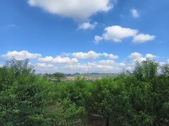 -水濂山森林公园