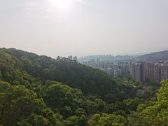 -福道