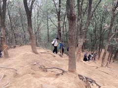 -灵岩山风景区