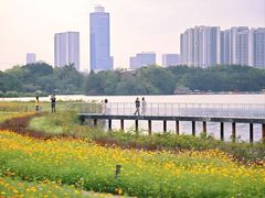 -海珠湖公园