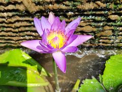 -水乡人家私房菜(逢简店)