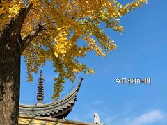 -西林禅寺