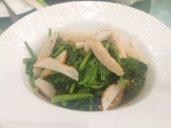 捞汁鲜虾豌豆尖-功德林素菜饭庄(前门店)