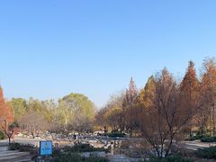 -大望京公园