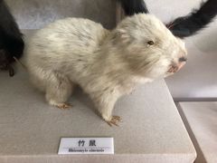 -北京中医药大学-中医药博物馆