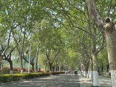 -云龙湖旅游景区