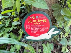 -呀诺达热带雨林
