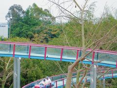 -盈香心动乐园