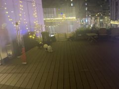 -百好乐宠物友好餐厅(朝外大街店)